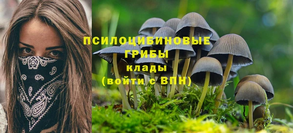 бошки Волосово